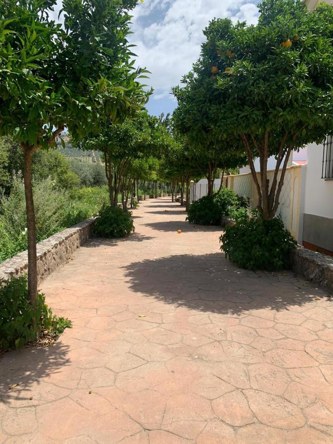 Apartamento en Cuevas del Becerro Exterior foto